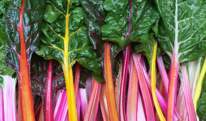 Swiss chard