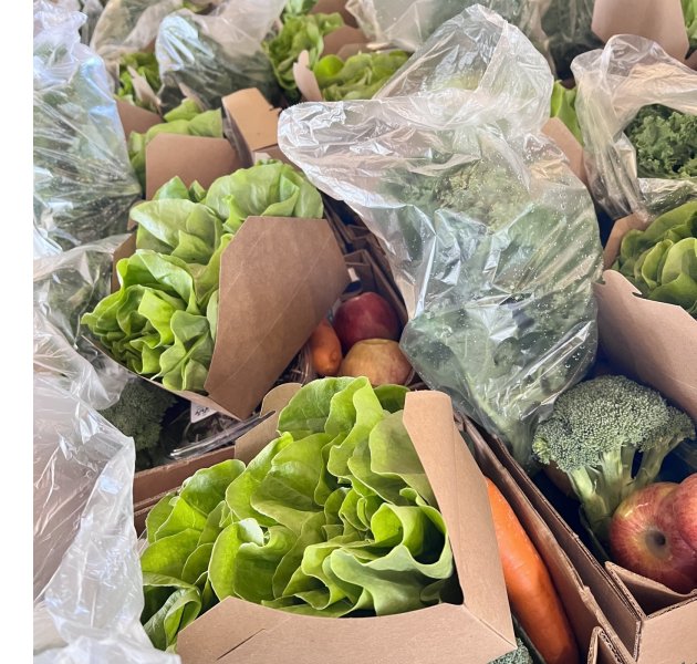 produce boxes for the Farm Fresh Prescription Program from Darnell Farms
