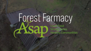 Meet Your Farmer: The Forest Farmacy