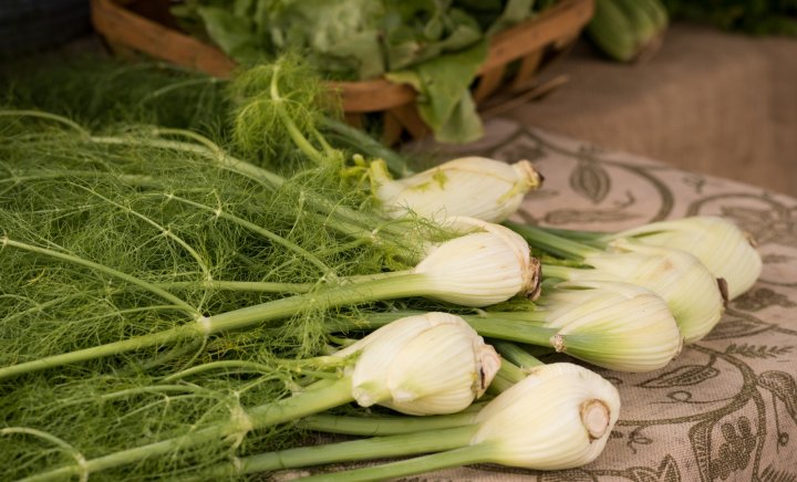 fennel