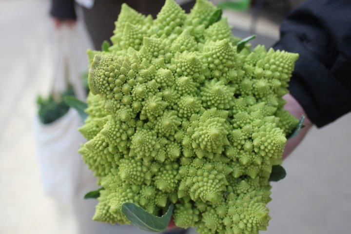 romanesco