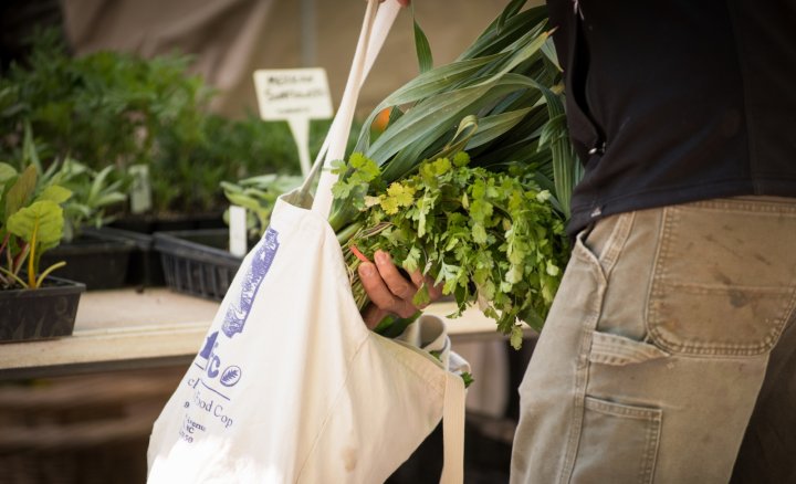 herbs and greens in a farmers market bag