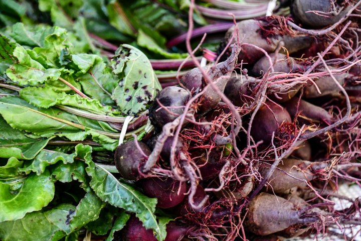 Beets from Flying Cloud Farm at North Asheville Tailgate Market