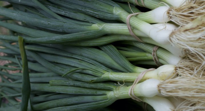 scallions