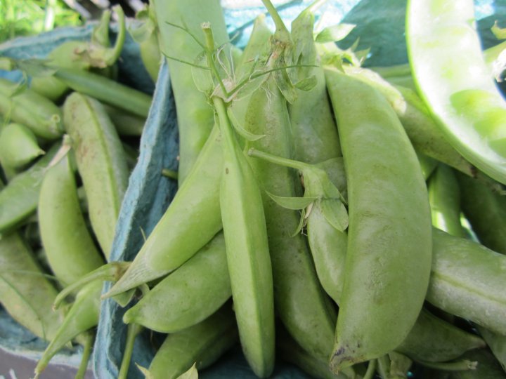 snap peas