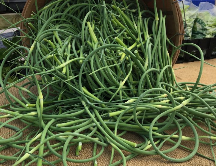 garlic scapes