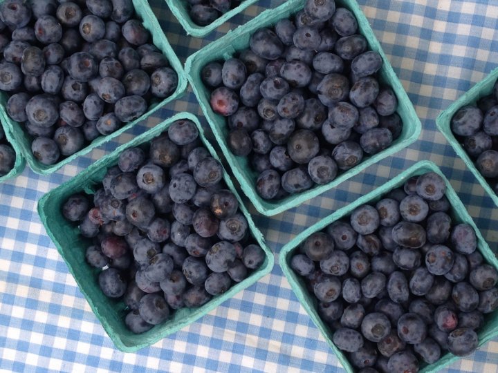 blueberries