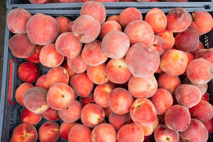 peaches from Lee's One Fortune Farm