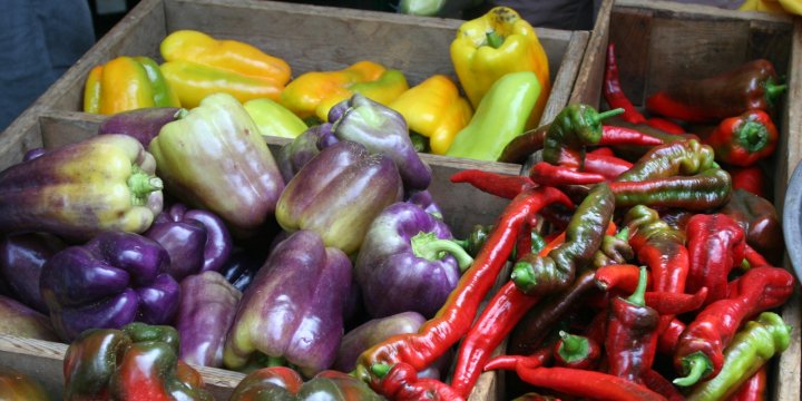 peppers from Gaining Ground Farm