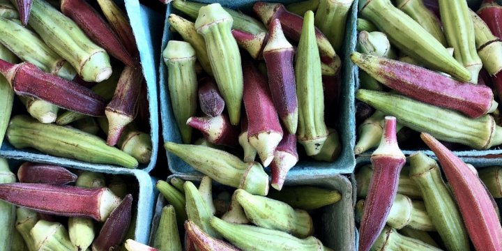 okra