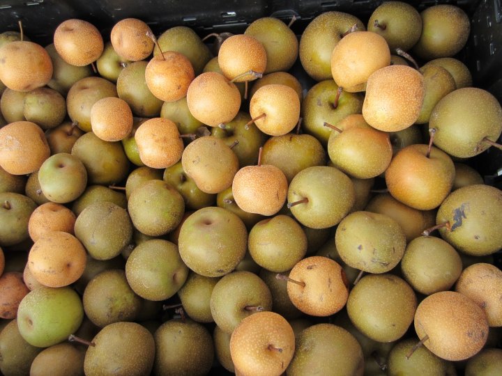 Asian pears from McConnell Farms