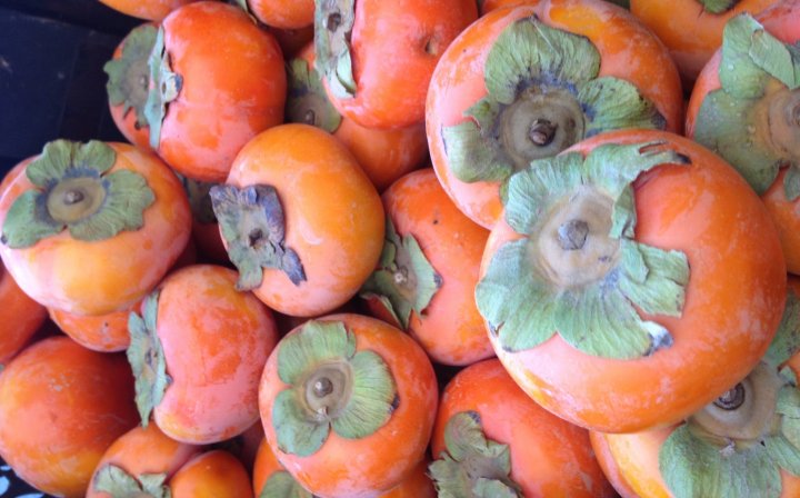 persimmons from Lee's One Fortune Farm