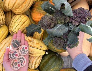 Farm Fresh Bucks tokens with market vegetables