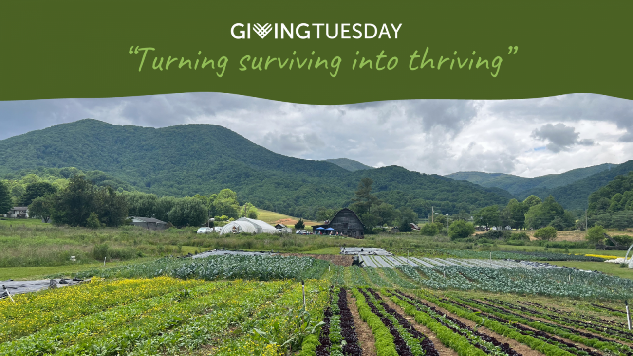 Giving Tuesday: Turning surviving into thriving