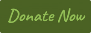 Donate Now