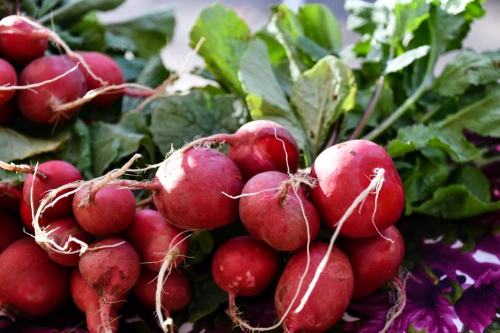 radishes