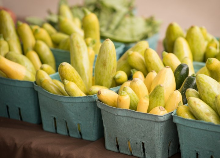 summer squash