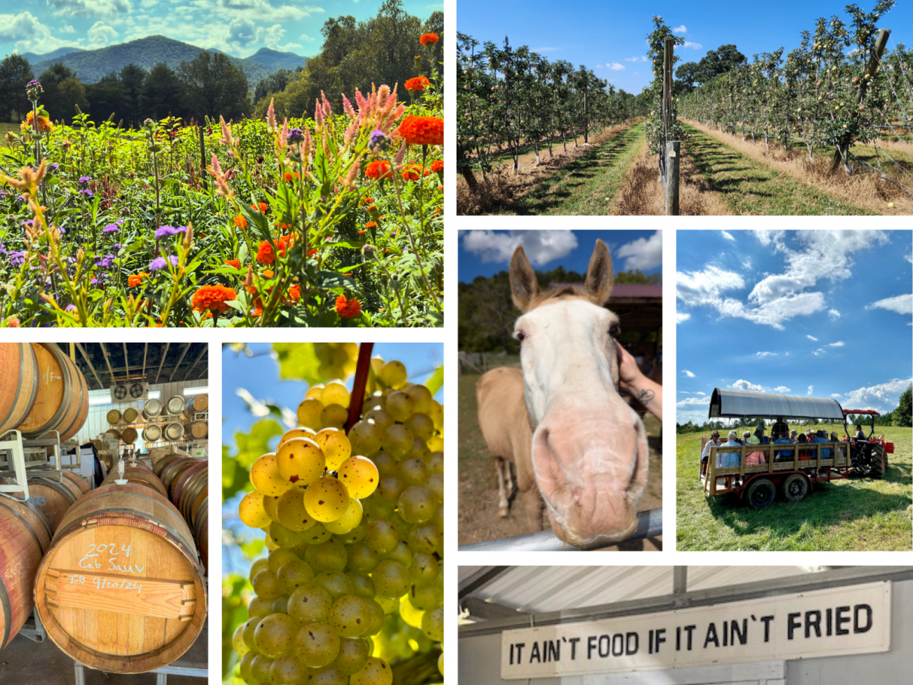 photos from ASAP's Farm Tour in September 2024
