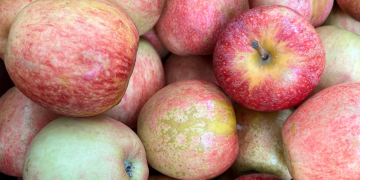 apples