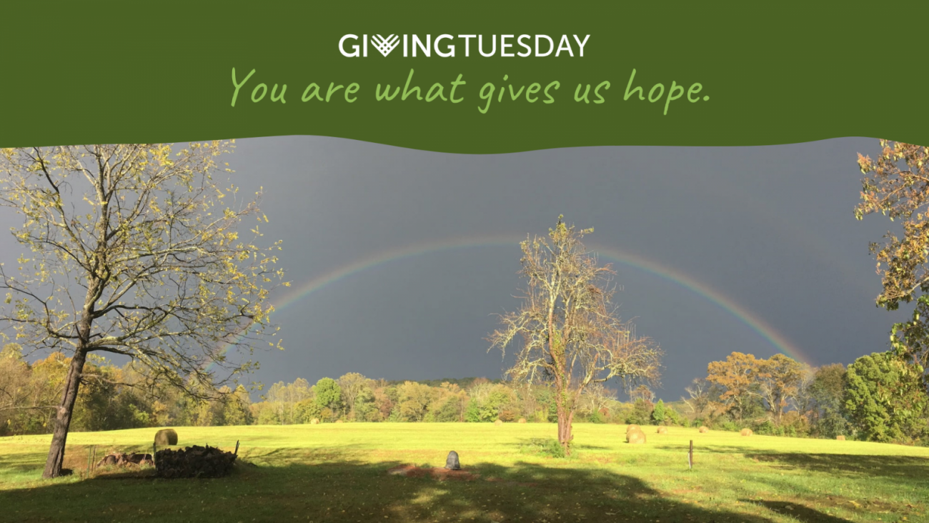 Giving Tuesday: You are what gives us hope
