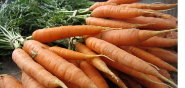 orange carrots