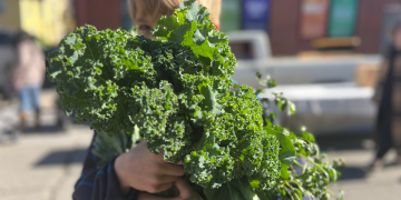 a white child holding a bouquet of kale and other fresh greens at Asheville City Market
