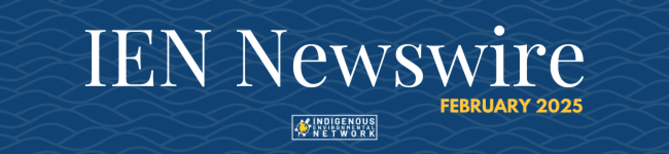 IEN Newswire - February 2025