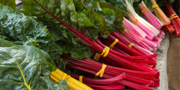rainbow chard with yellow, red, pink, and orange stems line up