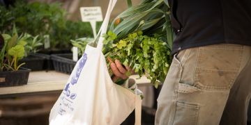 market shopper putting cilantro and leeks in reusable bag