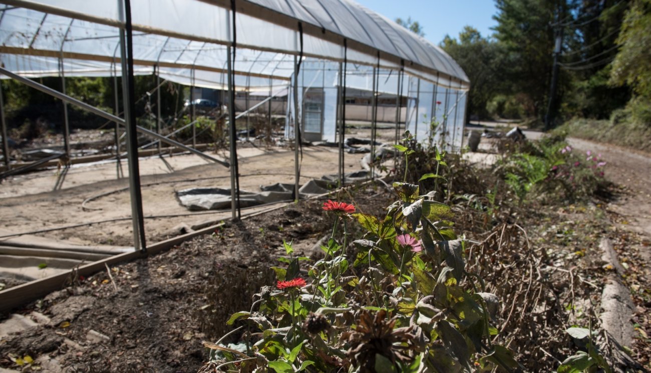 Damage at Stump Farms after Hurricane Helene