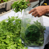 person putting arugula in a bag