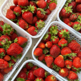 strawberries