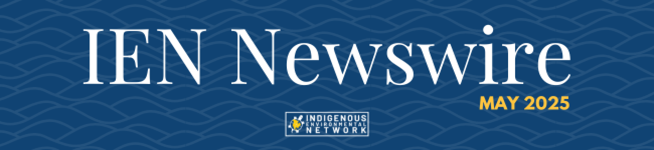 IEN May 2025 Newswire