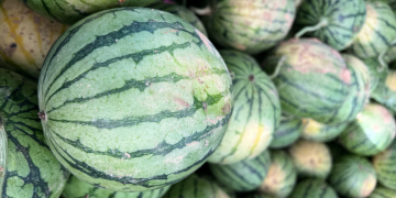 watermelon