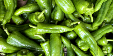 green Anaheim peppers