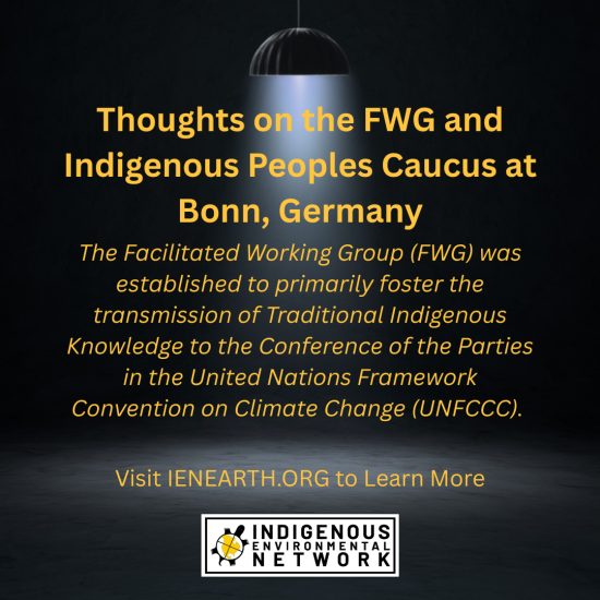 The Facilitated Working Group (FWG) was established to primarily foster the transmission of Traditional Indigenous Knowledge to the Conference of the Parties in the United Nations Framework Convention on Climate Change (UNFCCC).  