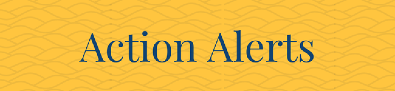 Banner - Action Alerts