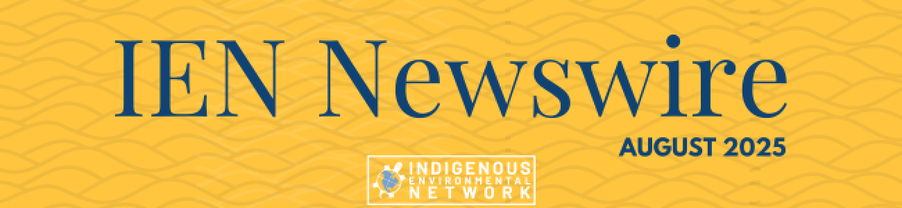 IEN Newswire - August 2025