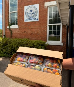 Charlene's Garden tomatoes at Polk County Schools