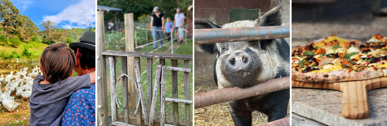 Winning photos from ASAP's Farm Tour photo contest