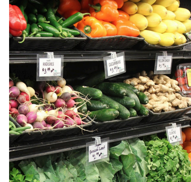 Growing Minds Farm to School Virtual Training