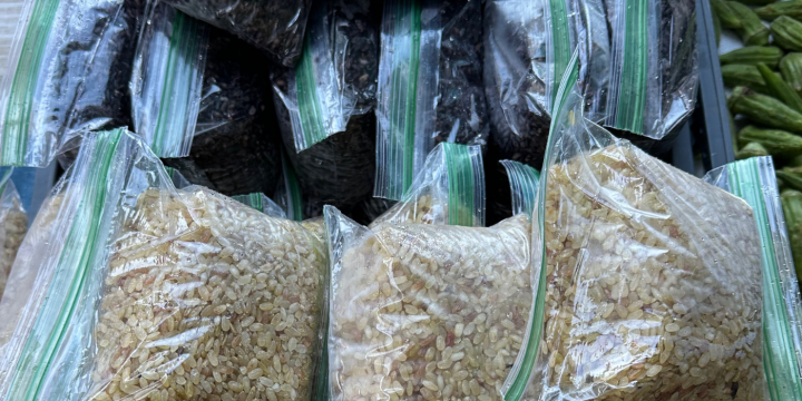 brown and purple rice