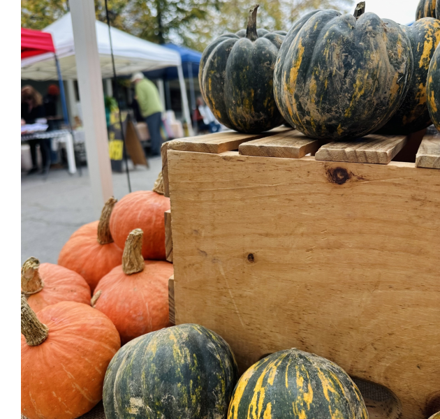 winter squash at Asheville City Market