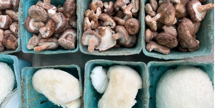 lion's mane and shiitake mushrooms